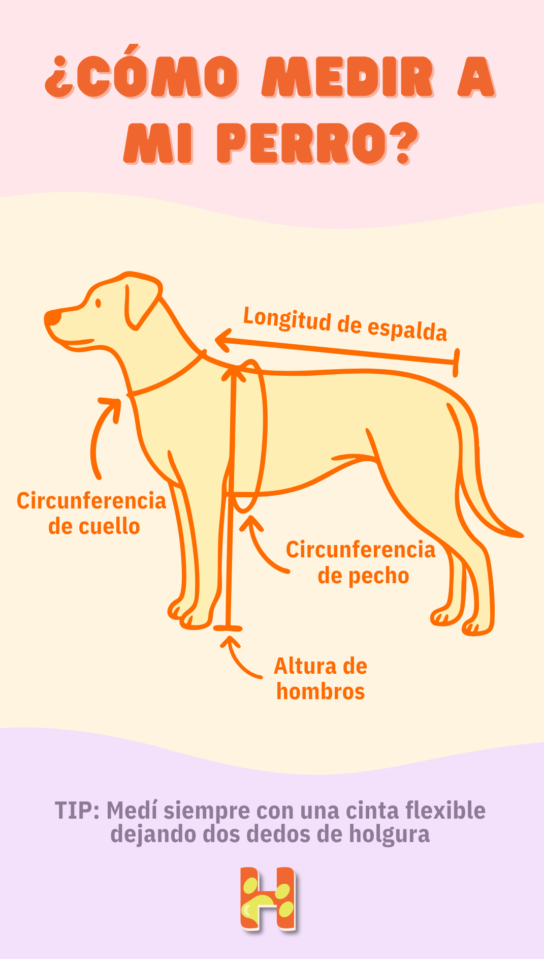 Cómo medir a mi perro